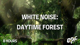 8-Hour Forest Daytime Sounds with Birds and Bugs | Relax, Study, Meditate