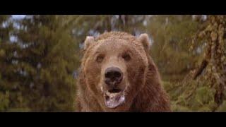 EL OSO de JEAN-JACQUES ANNAUD 1988