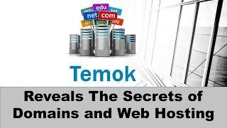 Web Hosting and Domain Name Infographics | Temok Reveals The Secrets of Domains and Web Hosting