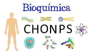  ¿Qué es la Bioquímica? ️ Y su IMPORTANCIA  [Fácil y Rápido] | BIOLOGÍA | QUÍMICA |