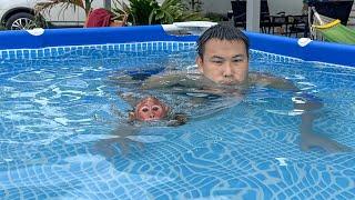 Bibi wants to challenge swimming with Dad after a period of practice!