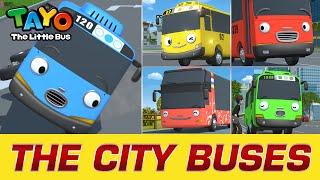 [Meet Tayo's Friends] #1 The City Buses