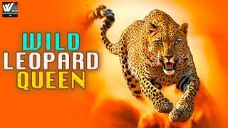 The Leopard Queen - Wild Africa | हिन्दी डॉक्यूमेंट्री | Wildlife Documentary हिंदी HD