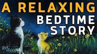 A RELAXING Sleepy Story  Auggie Gets a Kitten  BEDTIME STORY