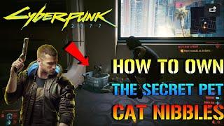 Cyberpunk 2077: How To Own The Secret PET CAT "Nibbles" (Full Quest Guide)