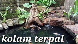 cara membuat kolam koi alami dari terpal/ geomembran #natural koi pond