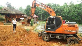Excavator To Expand Farm, Take water hyacinth and drop it into the pond, Fish feed