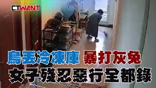 CTWANT 社會傳真 / 鳥丟冷凍庫、暴打灰兔　女子殘忍惡行全都錄