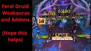 Feral Druid Weakauras and Addons (hope this helps)