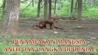 VIDEO PENAMPAKAN "MANUSIA ANEH DAN LANGKA DI DUNIA" MANUSIA ANEH TAPI NYATA DI DUNIA !!