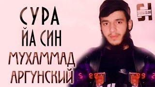 Сура Йа Син - Мухаммад Аргунский