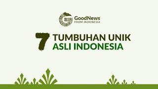 7 Tumbuhan Unik Asli Indonesia - Good News from Indonesia