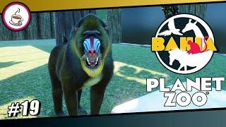 DAS MANDRILL GEHEGE #19 «» Parque Zoológico de Bahia - PLANET ZOO Let's Play | Deutsch German