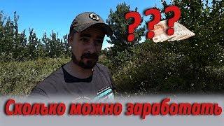 Сколько можно заработать на поиске металла за день