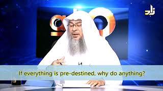 If everything is Pre-destined why do anything? - Sheikh Assim Al Hakeem