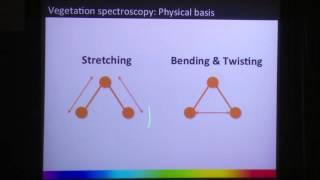 Plant Traits/Imaging Spectroscopy