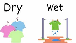 Learn Dry And Wet |learn opposites Dry and Wet | difference for kids