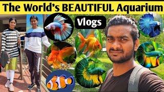 The World's BEAUTIFUL Aquarium Vlog | Bigest  Aquarium Tour | Tour with Sisters