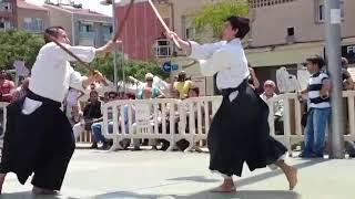 Two Swords Aikido