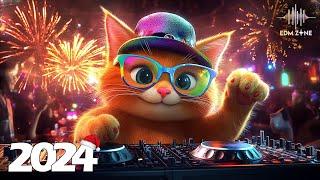 EDM Mashup Mix 2024 | Best Mashups & Remixes of Popular Songs - Party Music 2024