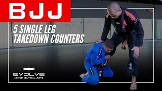 BJJ | 5 Single Leg Takedown Counters | Evolve University