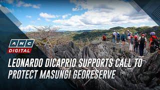 Leonardo DiCaprio supports call to protect Masungi Georeserve | ANC