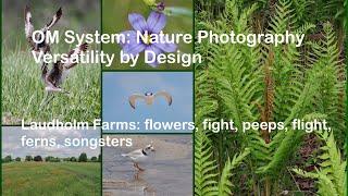 OM System: Versatile Nature Photography by Design. OM-1 and OM-1MKii at Laudholm Farms