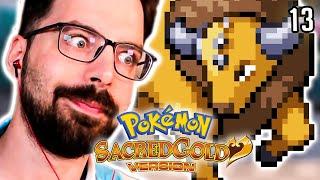 Der spannendste Part, ohne das er spannend sein sollte ... ⭐️ Sacred Gold Nuzlocke #13