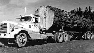 Logging Oregon's Coastal Forests