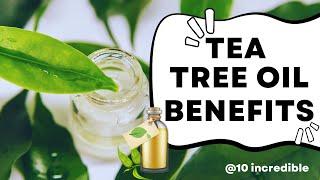 Tea Tree Oil Benefits (10 Benefits)