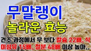 무말랭이의 놀라운 효능 9가지 & 부작용 / "무의 풍부한 영양을 그대로, 무말랭이의 건강한 향연"