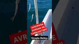 Avrupa'da Dursam Ne Yapacaktım?