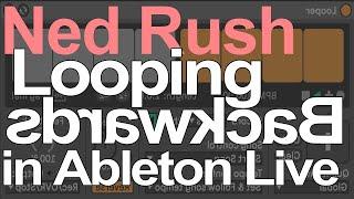 Ableton Live Tutorial - Looping Backwards = Ned Rush