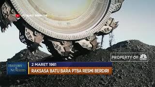 Raksasa Batu Bara PTBA Resmi Berdiri