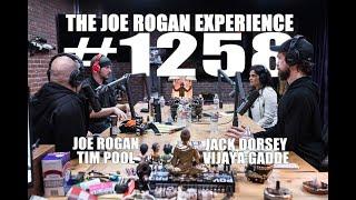 Joe Rogan Experience #1258 - Jack Dorsey, Vijaya Gadde & Tim Pool