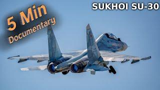 Sukhoi Su-30 - 5 Minute Documentary