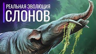 Реальная Эволюция Слонов. От клыков до бивней