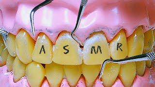 Deep Teeth Cleaning ASMR (No Talking)