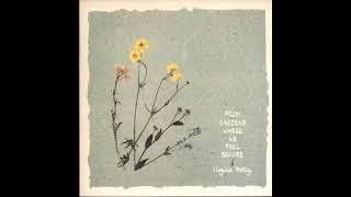 Virginia Astley - From Gardens Where We Feel Secure [Full Album]