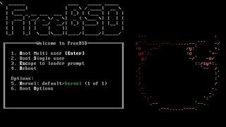 How to Install FreeBSD on VM Ware workstation with GUI