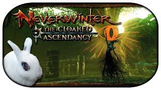  Neverwinter: The Cloaked Ascendancy #04 - Kapitel 4: Die fehlende Verbindung