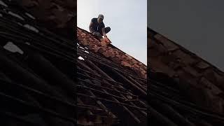 amazing construction workers 23122220