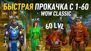 Гайд по прокачке c 1 по 60 альянс world of wacraft classic