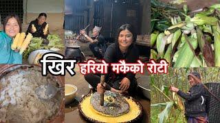 हरियो मकै पिसेर रोटी बनाउदै Traditional Cornbread Recipes | थोरै खाएपछि टन्न । मिठो खिर