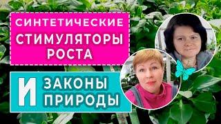 СИНТЕТИЧЕСКИЕ стимуляторы роста корневой системы. Законы природы