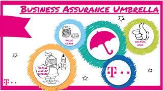 Business Assurance Strategy