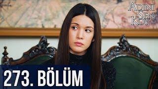 @adinisenkoydizi 273. Bölüm