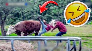 Best Fails of the week : Funniest Fails Compilation | Funny Videos  - Part 25