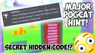 OMG WOW!  SECRET BINARY CODES & MAJOR HINTS FOR POGCAT! (NOT CLICKBAIT) | Pet Simulator X