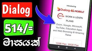 dialog work & learn plan | dialog zoom package | dialog data package | SL damiya